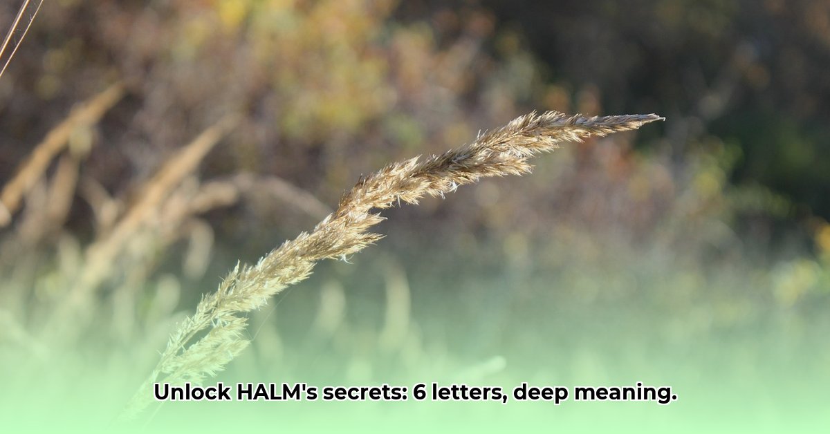 halm-6-letters